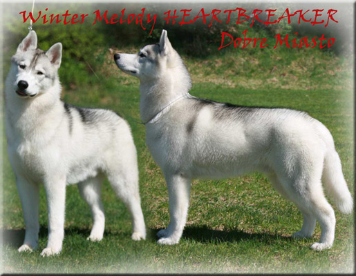 Winter Melody HEARTBREAKER