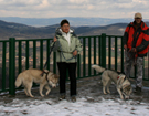 Husky podróże - Czechy 2008
